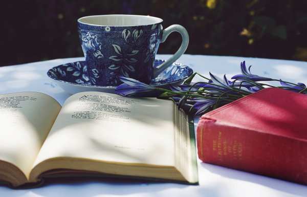 Книга поэзия