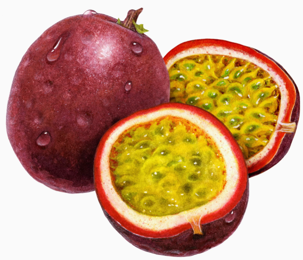 Маракуйя маракуйя маракуйя
