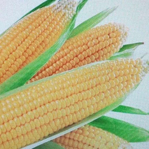 Кукуруза мультяшная