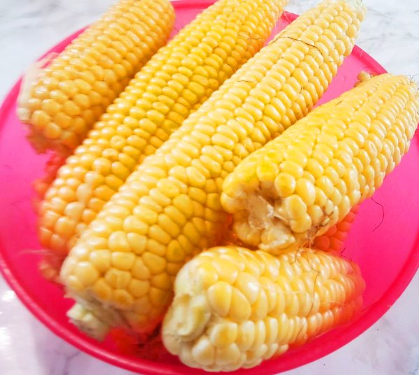 Мальтон кукуруза