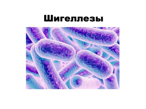 Шигеллез возбудитель микробиология