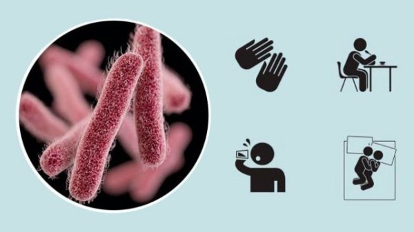 Дизентерия шигеллез сальмонеллез