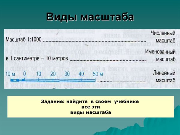 Виды масштаба
