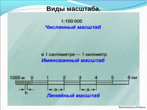 Виды масштаба