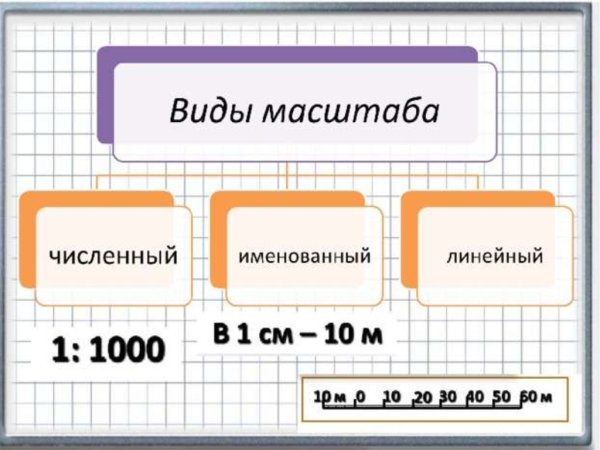 Виды масштаба