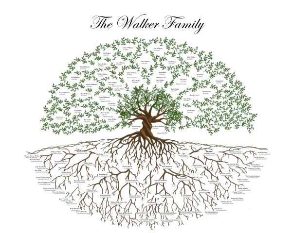 Родословное дерево с корнями