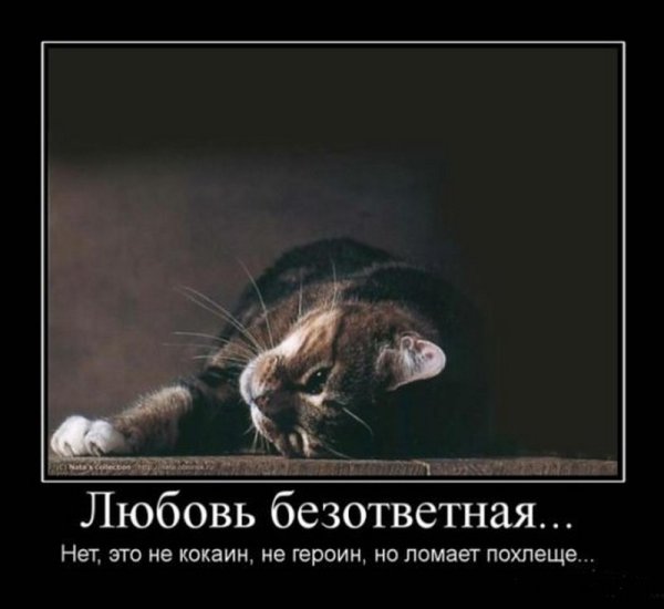 Неразделённая любовь картинки