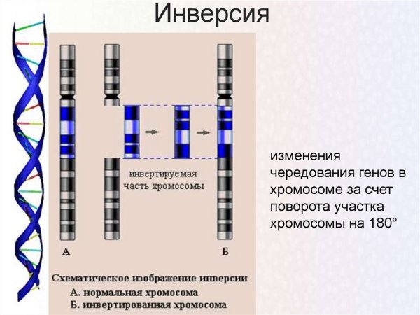 Эффект инверсии цвета
