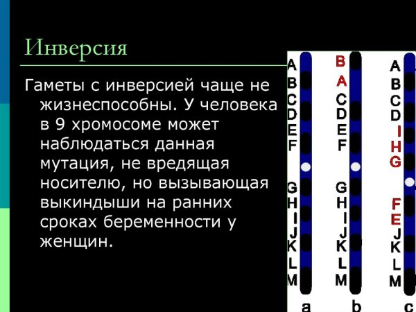 Инвертированное изображение