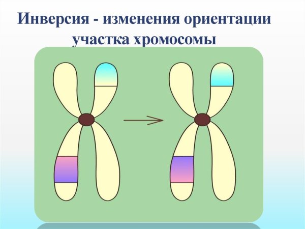 Инверсия примеры