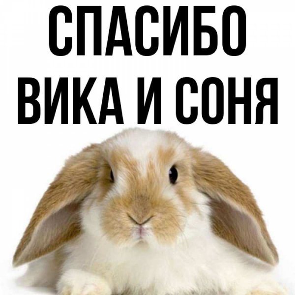 Спасибо Соня