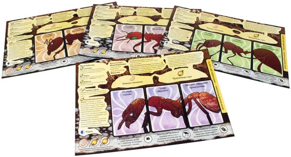 Русская игрушка марш муравьев