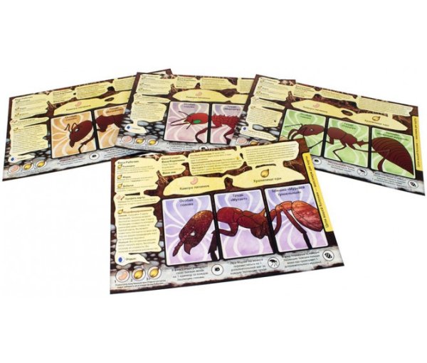 Марш муравьев вектор