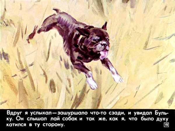 Л Н толстой Булька
