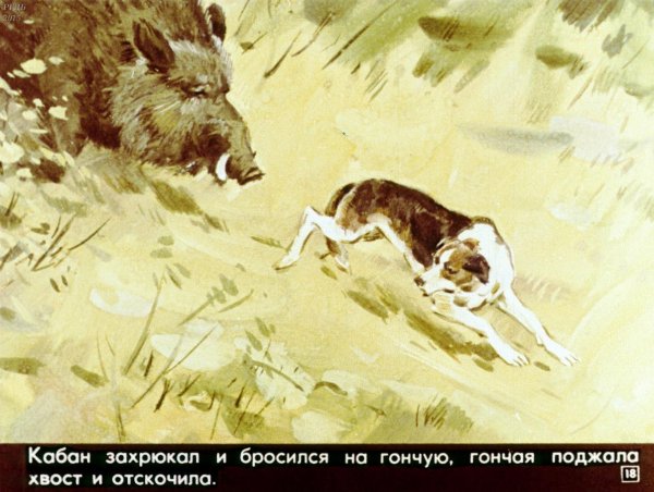 Собака Булька толстой