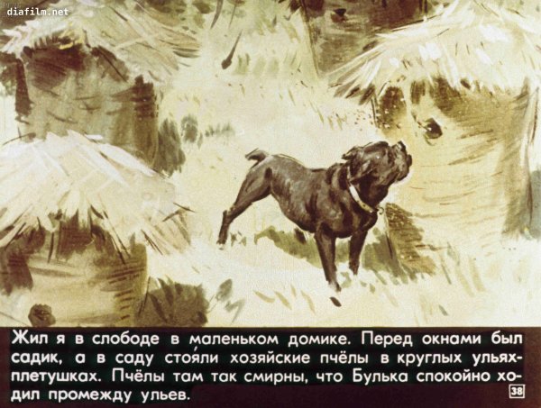 Иллюстрация к рассказу Булька Толстого