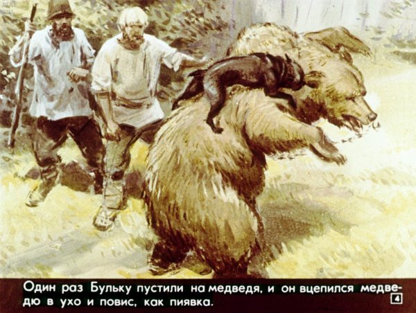 Рассказ Льва Толстого Булька