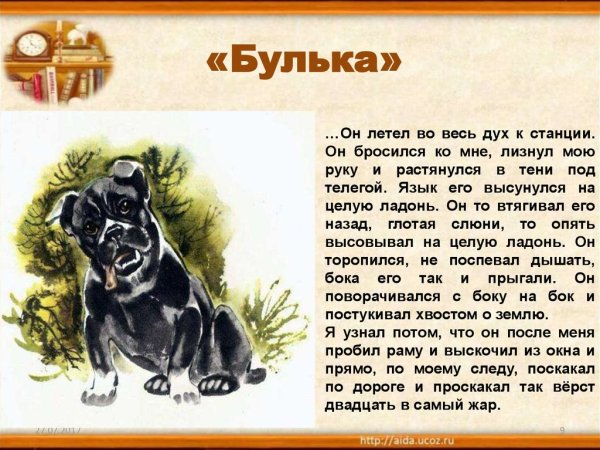 Подсказки бульки маркиза