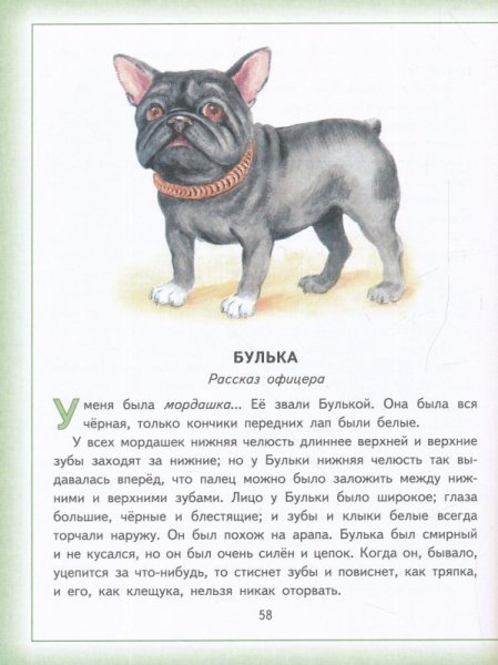 Булька подсказки бульки