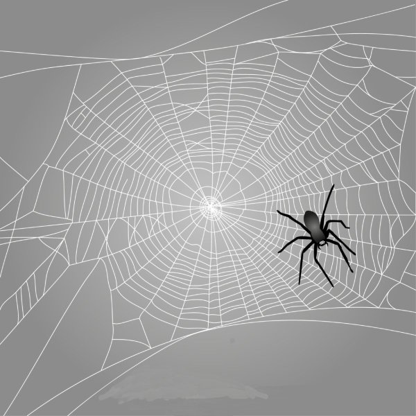 Паутина паук картинки (47 фото)