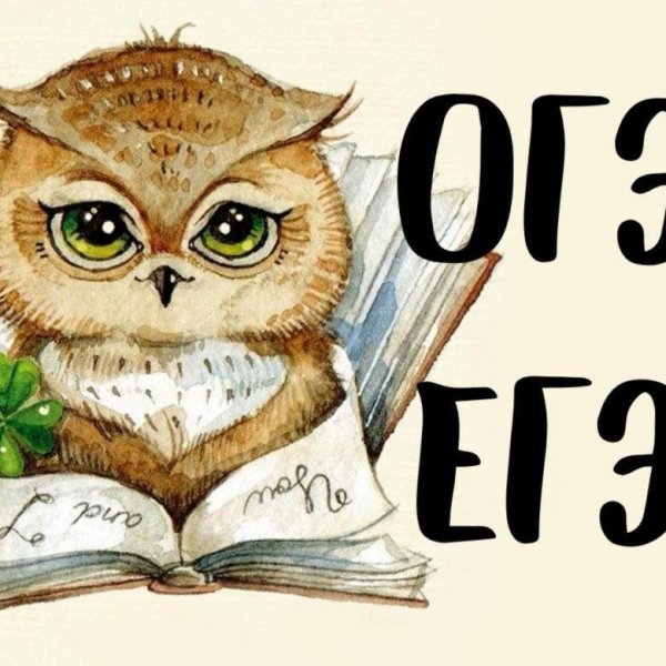 ОГЭ ЕГЭ