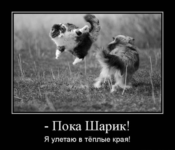 Пока прикол