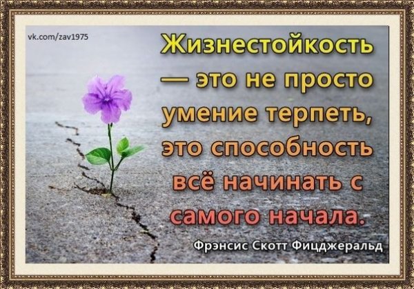 Жизнестойкость фото