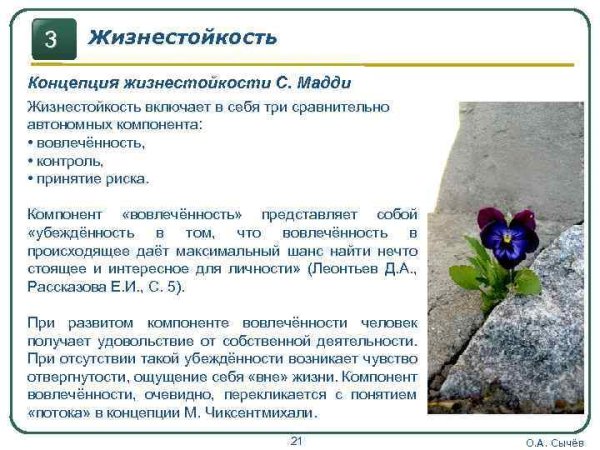 Роза в пустыне