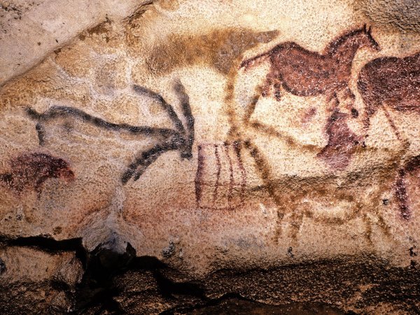 Пещера Ласко во Франции наскальные рисунки
