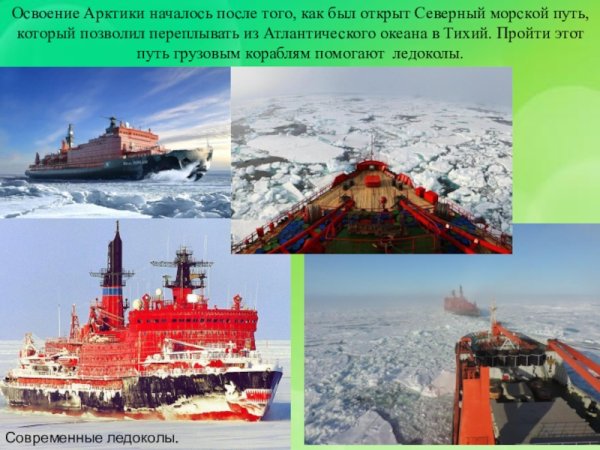 Проблемы освоения Арктики