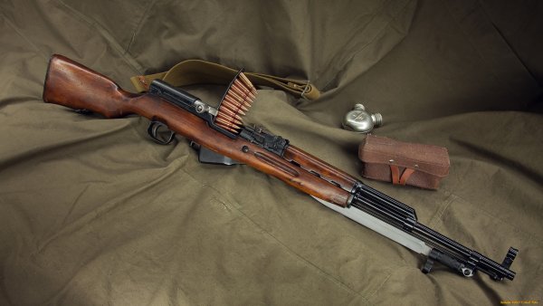 Самозарядный карабин Симонова (СКС)