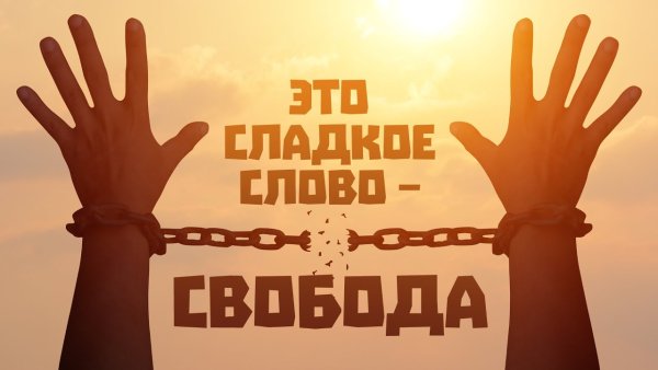 Свобода мнения