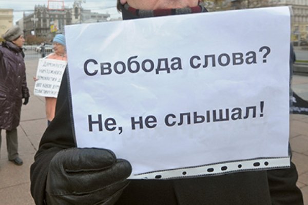 Презентация Свобода Сова