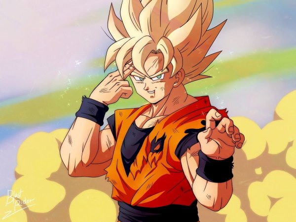 Гоку Dragon Ball z