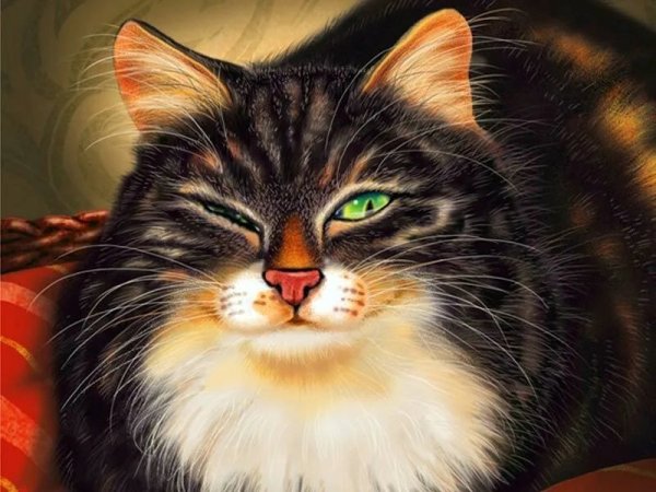 Кот хитрюга