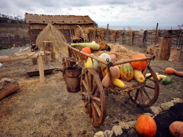 Хозяйство, подворье Казаков на Кубани