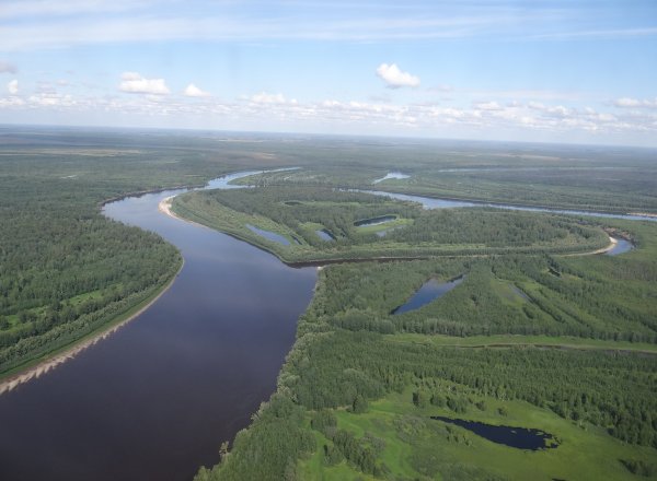 Западно Сибирская равнина ХМАО