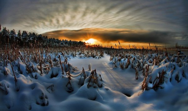 Природа ХМАО Югры