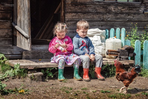 Лето у бабушки в деревне