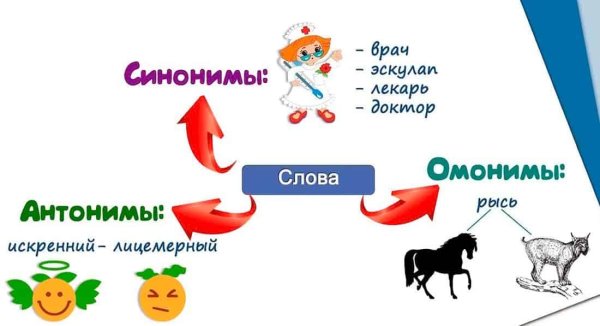 Антонимы омонимы