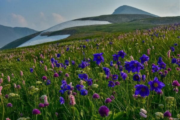Кузнецкий Алатау Хакасия