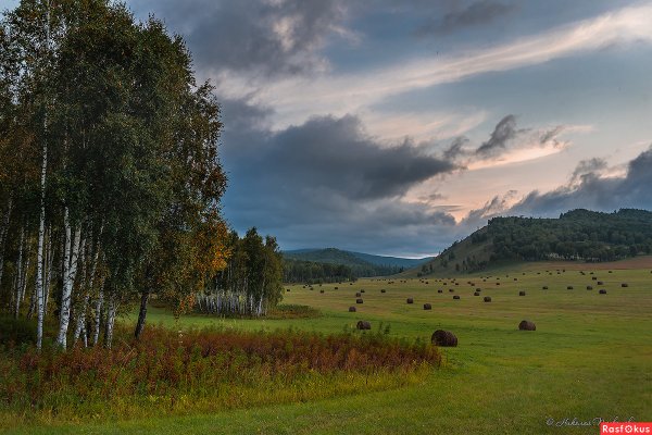 Прокофьев природа Хакасии