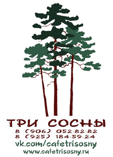 Сосны за окном