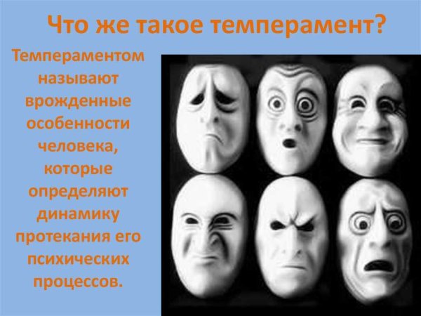 Темперамент человека