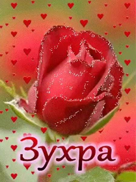 Зухра с днем рождения открытки