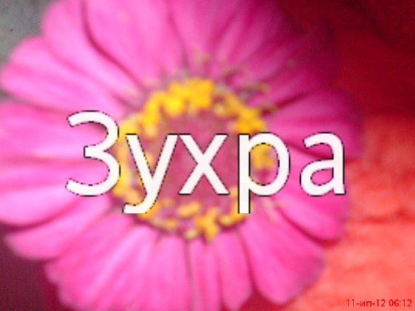 Картинки с именем Зухра