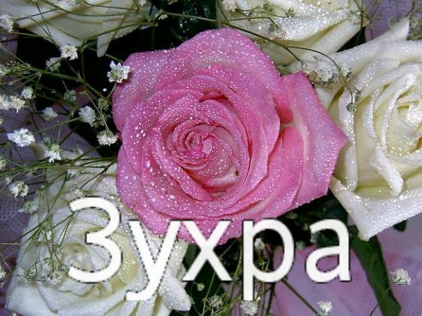 С днём рождения Зухра