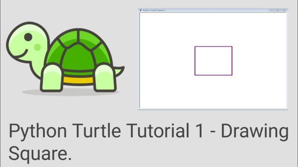 Turtle питон