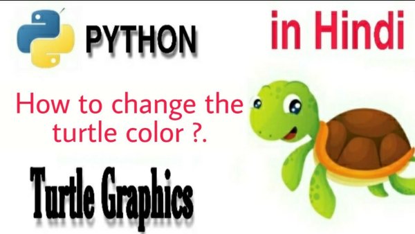 Черепашка питон Color