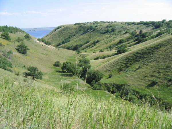 Природный парк Щербаковский балка